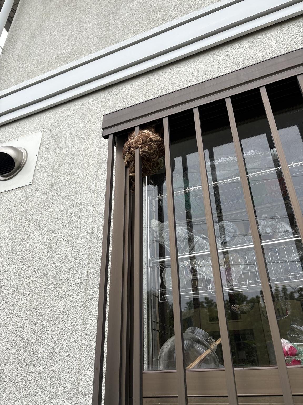 住宅まわりのスズメバチの巣